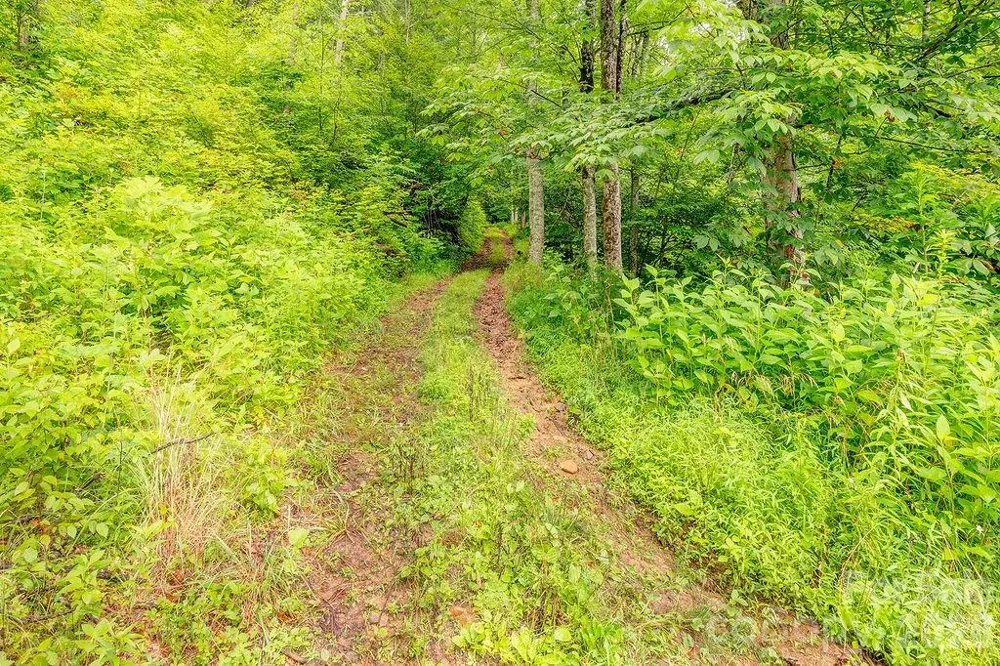 8485 Meadow Fork Road Hot Springs, NC 28743