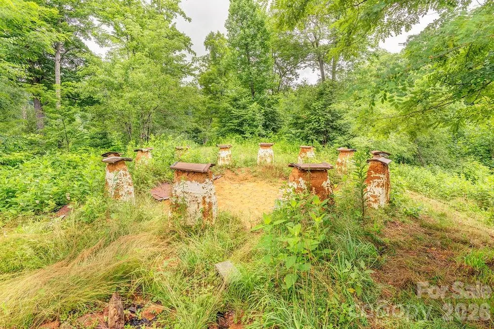 8485 Meadow Fork Road Hot Springs, NC 28743