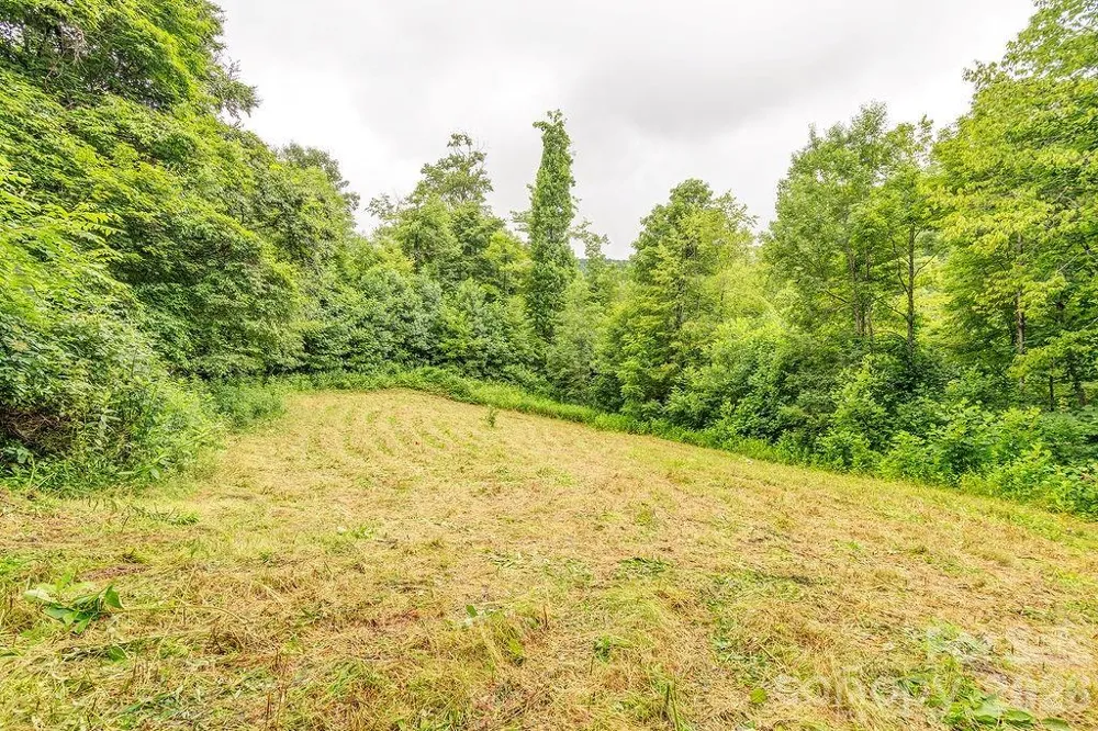 8485 Meadow Fork Road Hot Springs, NC 28743