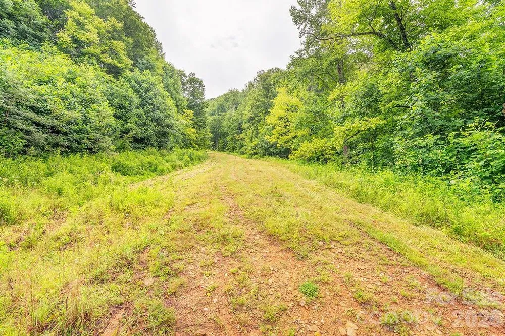 8485 Meadow Fork Road Hot Springs, NC 28743