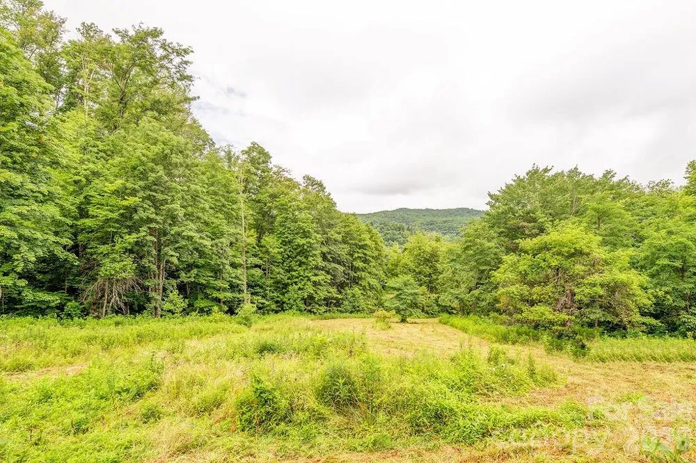 8485 Meadow Fork Road Hot Springs, NC 28743