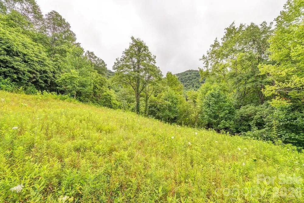 8485 Meadow Fork Road Hot Springs, NC 28743
