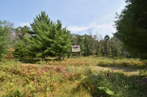 Lot 1 Pleasant Acres Trail