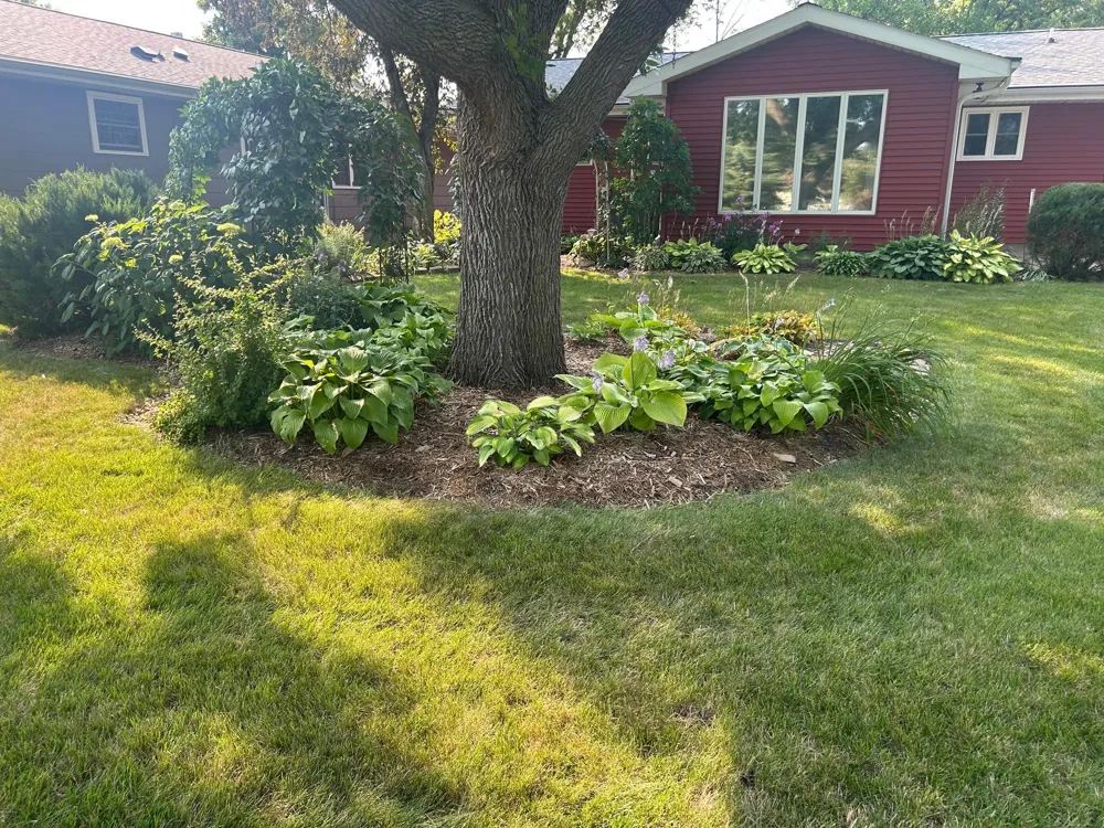602 Madison Street Minneota, MN 56264