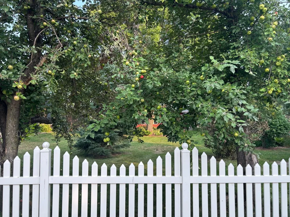 602 Madison Street Minneota, MN 56264