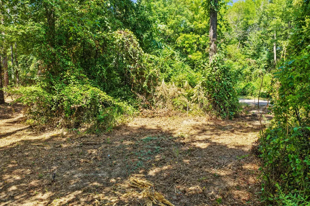County Road 1240 Pittsburg, TX 75686