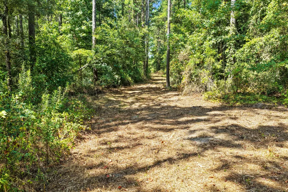 County Road 1240 Pittsburg, TX 75686