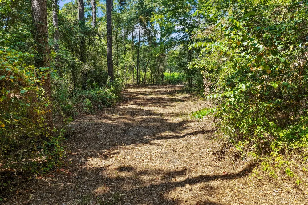 County Road 1240 Pittsburg, TX 75686