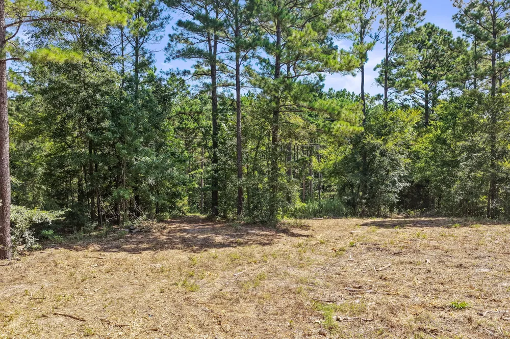 County Road 1240 Pittsburg, TX 75686