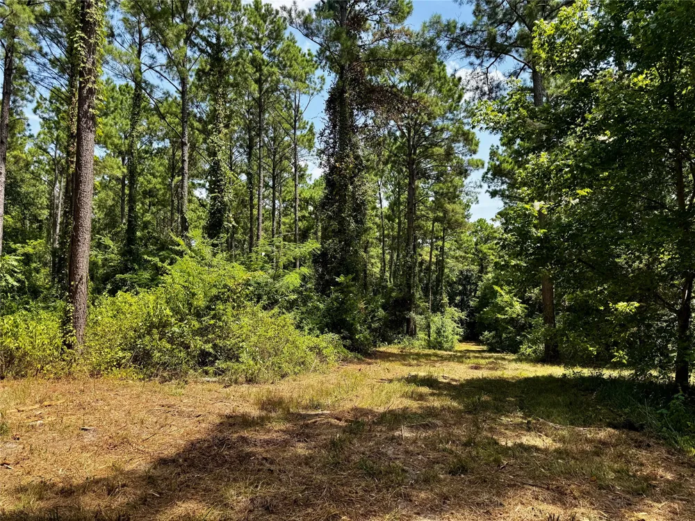 County Road 1240 Pittsburg, TX 75686