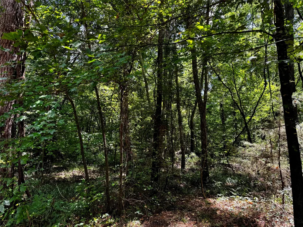 County Road 1240 Pittsburg, TX 75686
