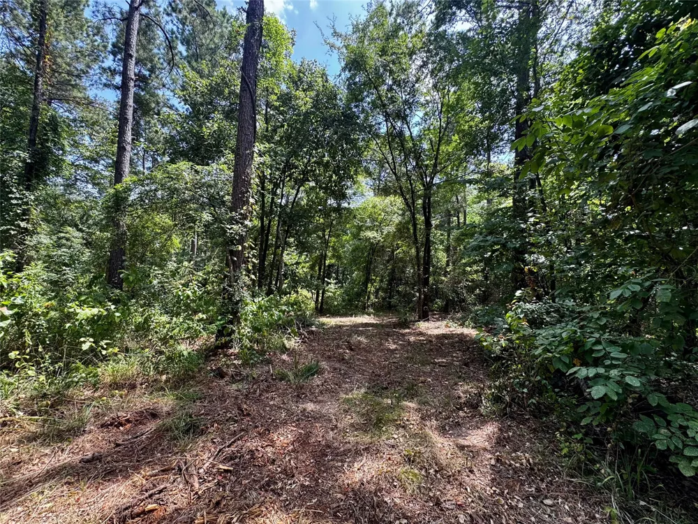 County Road 1240 Pittsburg, TX 75686
