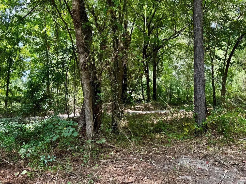 County Road 1240 Pittsburg, TX 75686