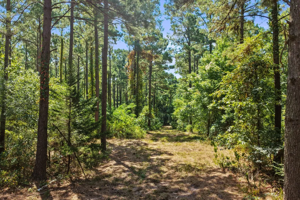 County Road 1240 Pittsburg, TX 75686