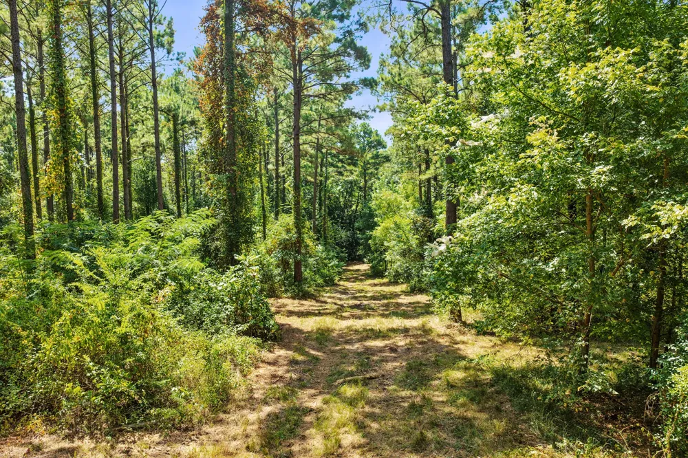 County Road 1240 Pittsburg, TX 75686