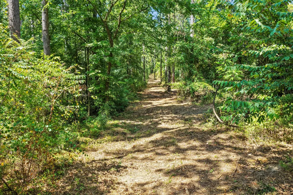 County Road 1240 Pittsburg, TX 75686