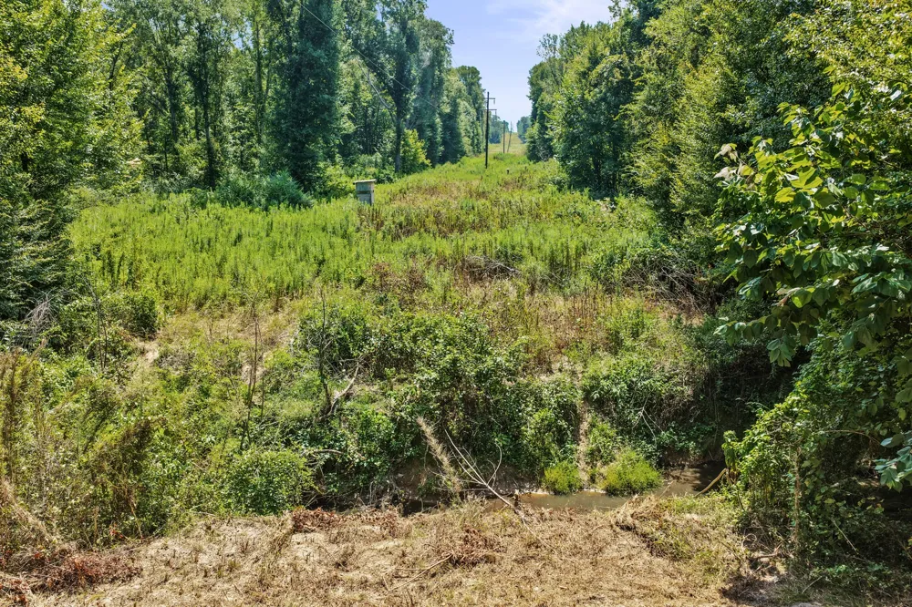 County Road 1240 Pittsburg, TX 75686