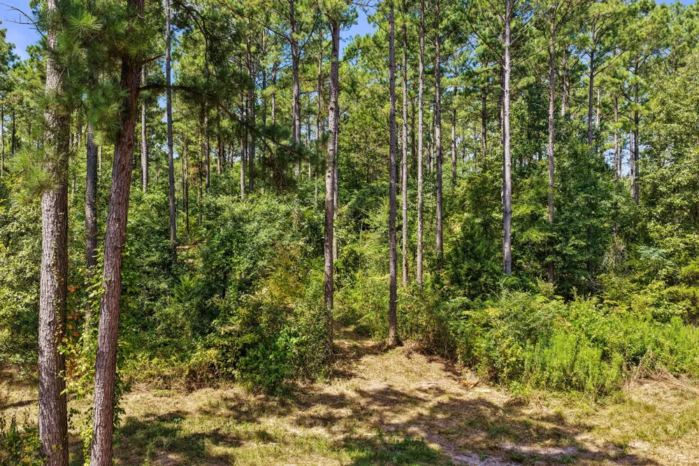 County Road 1240 Pittsburg, TX 75686