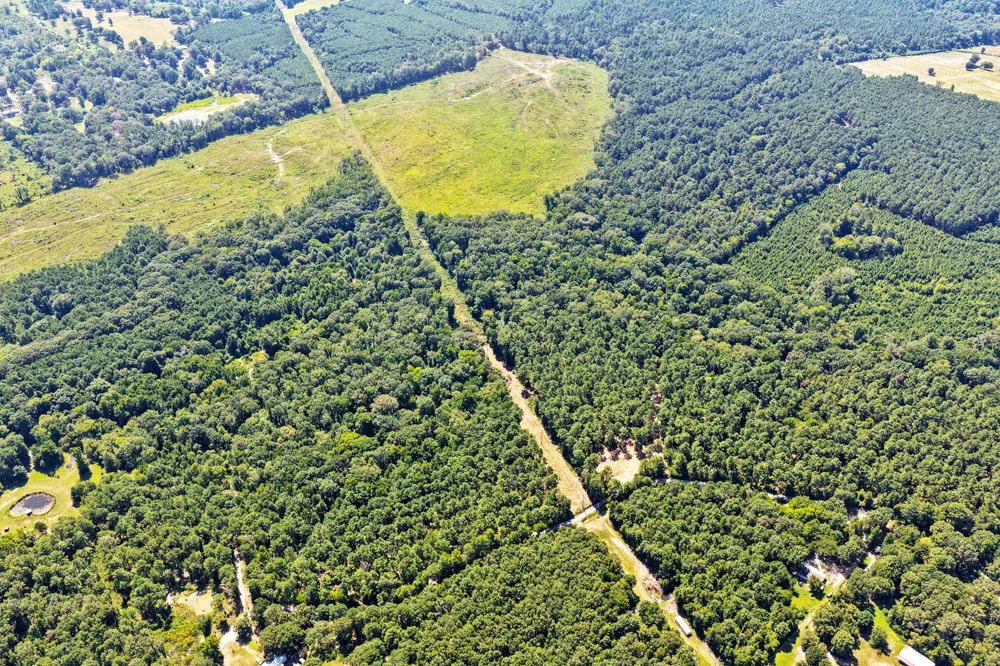 County Road 1240 Pittsburg, TX 75686