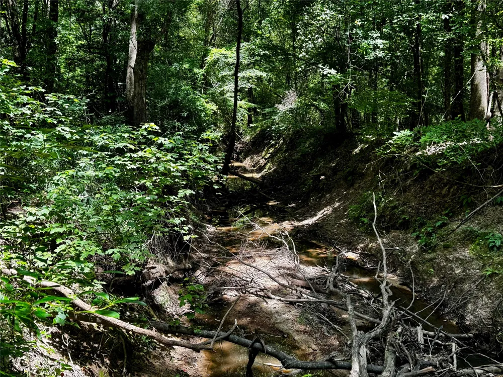 County Road 1240 Pittsburg, TX 75686
