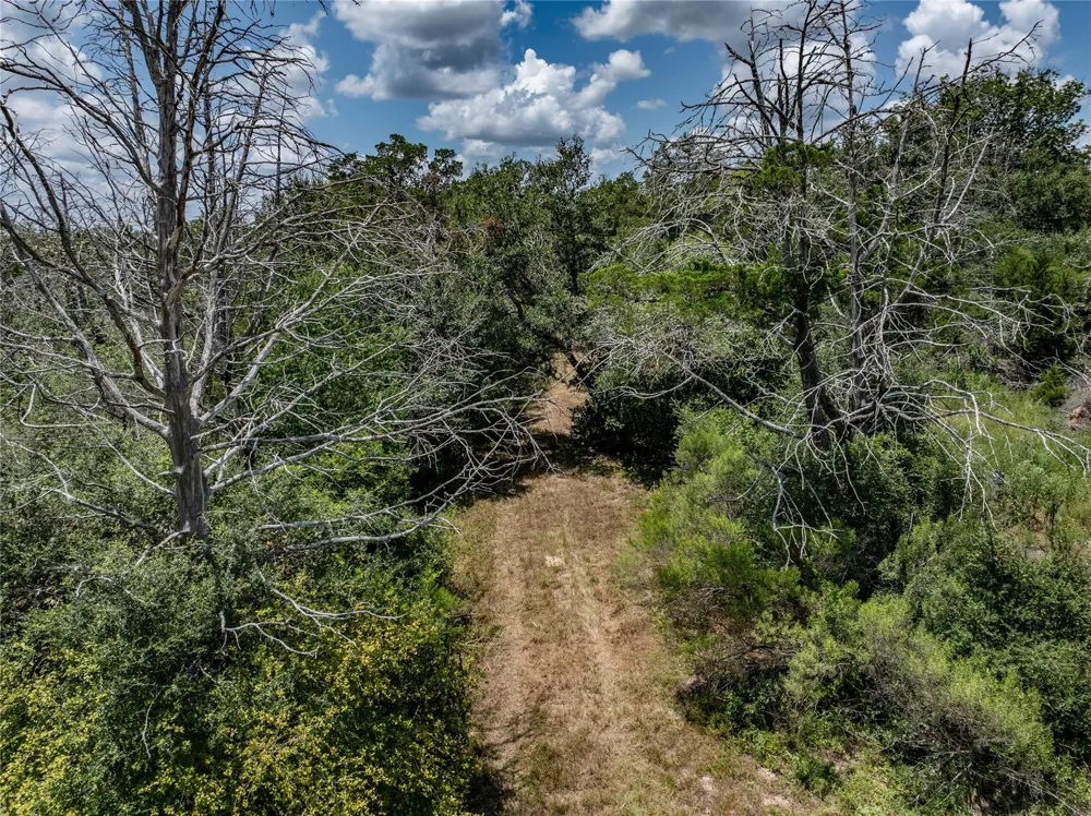 1126 Abel Road New Ulm, TX 78950