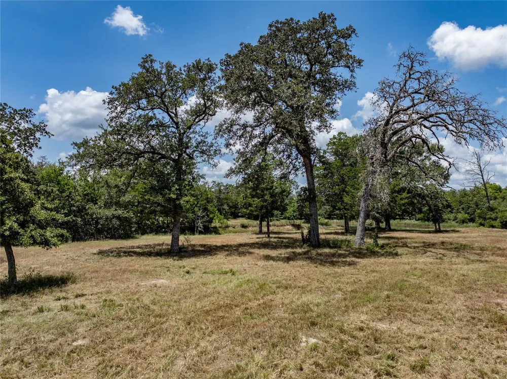 1126 Abel Road New Ulm, TX 78950