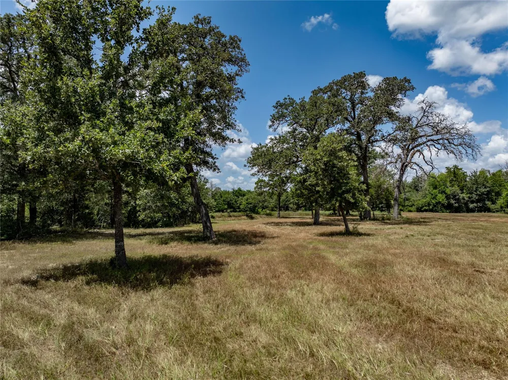 1126 Abel Road New Ulm, TX 78950