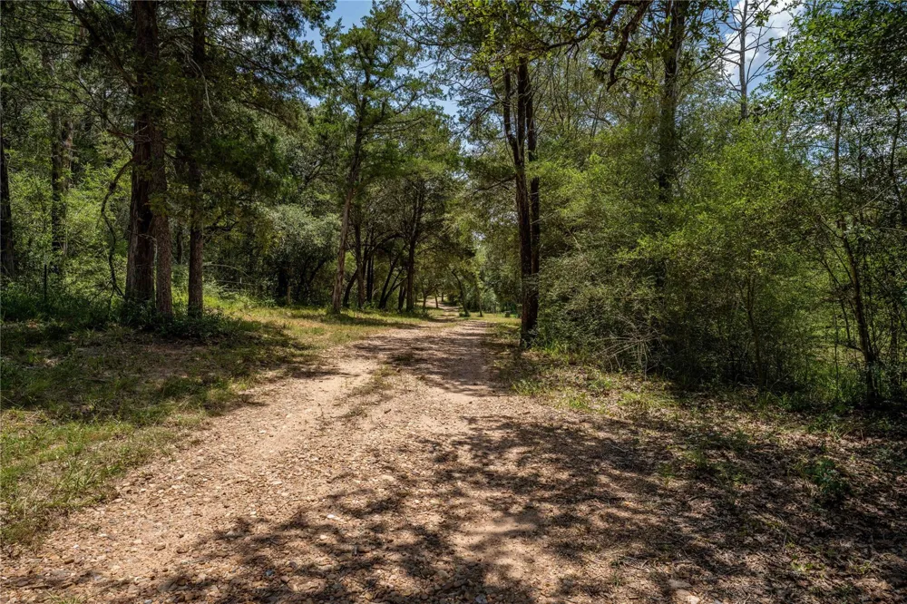 1126 Abel Road New Ulm, TX 78950