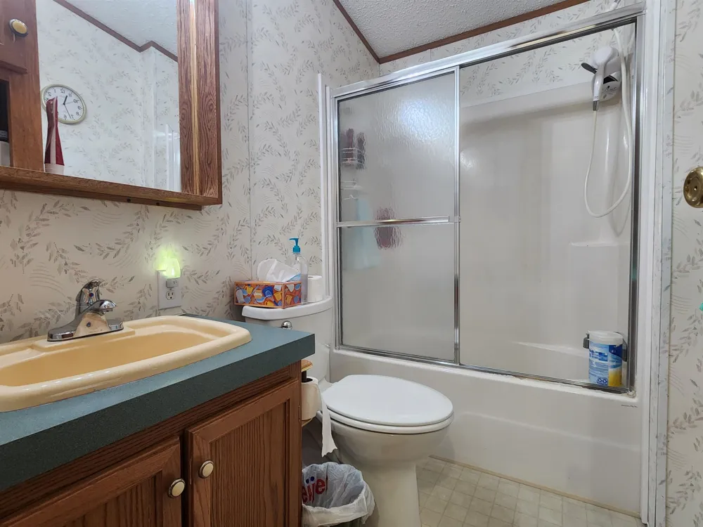 3362 Lassie Drive Pine River Township, MI 48801