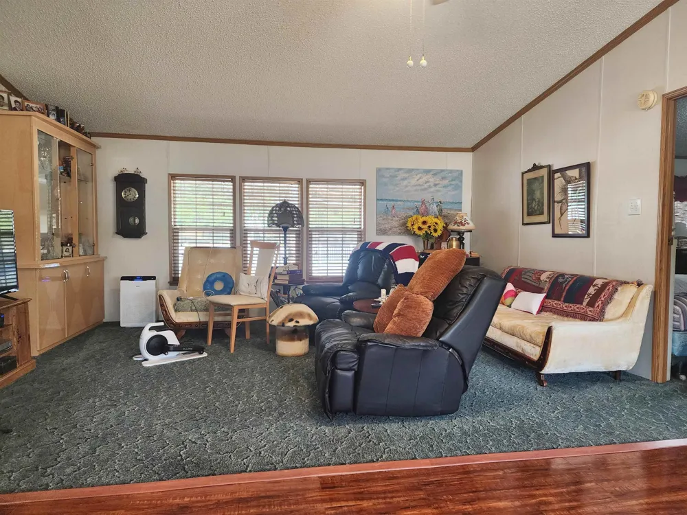 3362 Lassie Drive Pine River Township, MI 48801