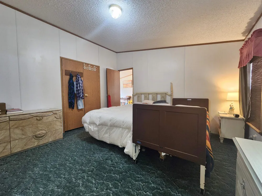 3362 Lassie Drive Pine River Township, MI 48801