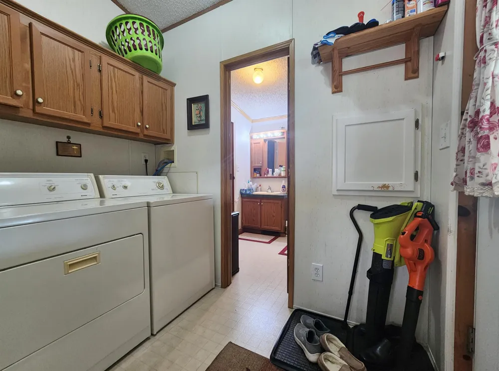 3362 Lassie Drive Pine River Township, MI 48801
