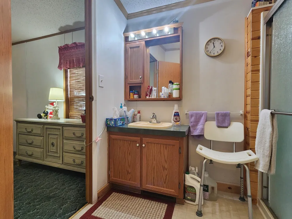 3362 Lassie Drive Pine River Township, MI 48801