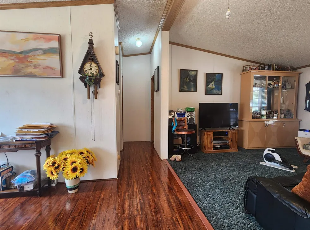 3362 Lassie Drive Pine River Township, MI 48801