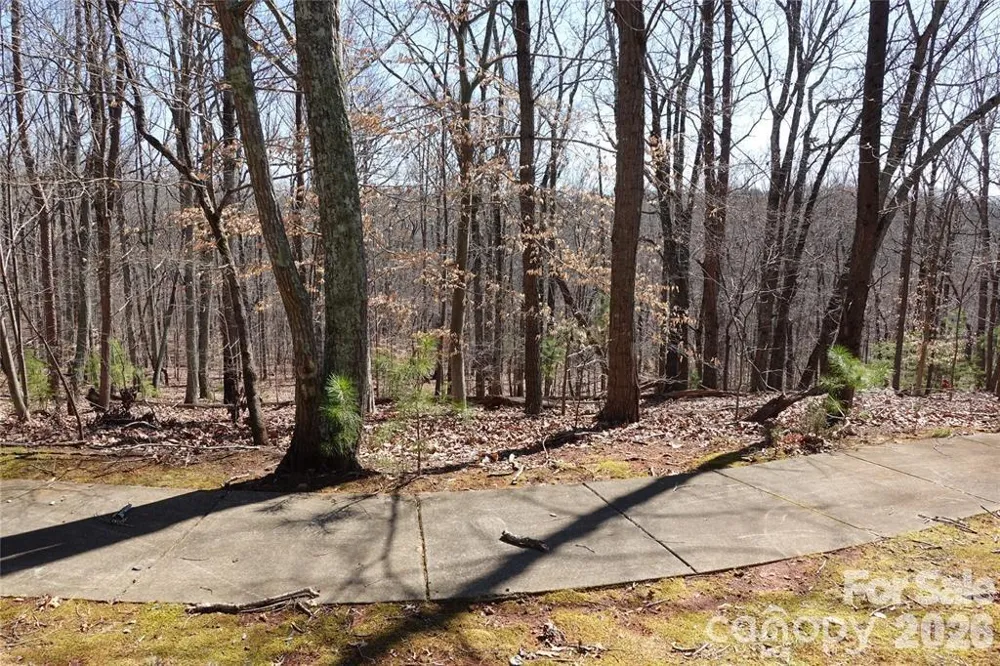 14427 Roe Buck Meadow Lane Charlotte, NC 28278