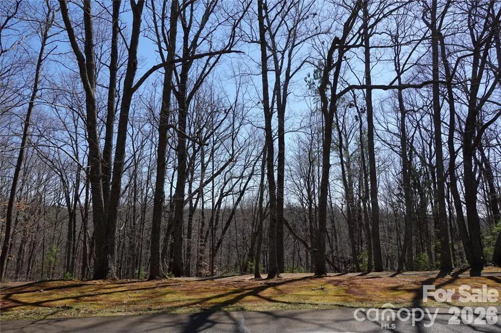 14427 Roe Buck Meadow Lane Charlotte, NC 28278