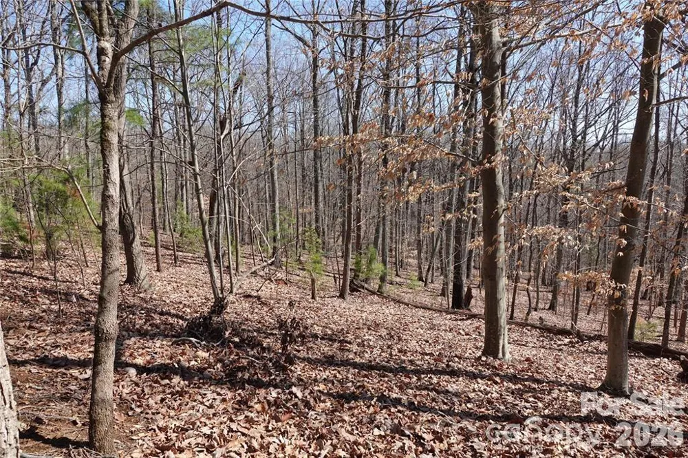 14427 Roe Buck Meadow Lane Charlotte, NC 28278
