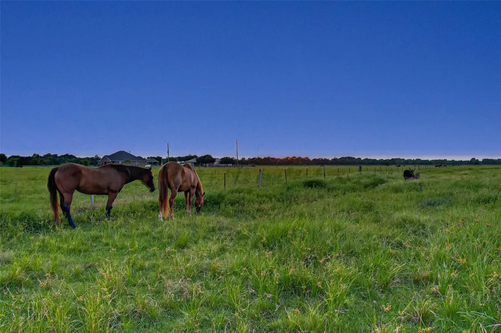 10550 Brinkmeyer Road Needville, TX 77461