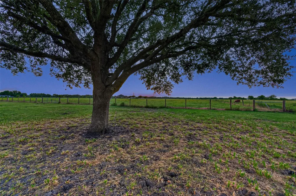 10550 Brinkmeyer Road Needville, TX 77461