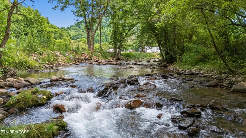 726 Highway 107 Del Rio, TN 37727