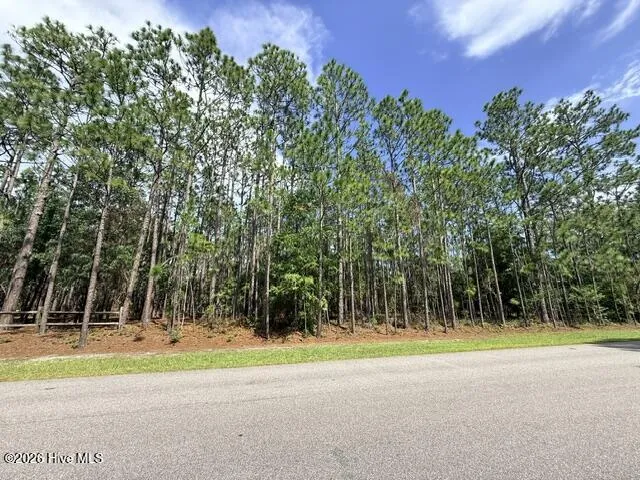 L-26 & 27 Eden Drive Boiling Spring Lakes, NC 28461