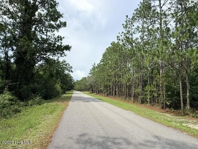 L-26 & 27 Eden Drive Boiling Spring Lakes, NC 28461