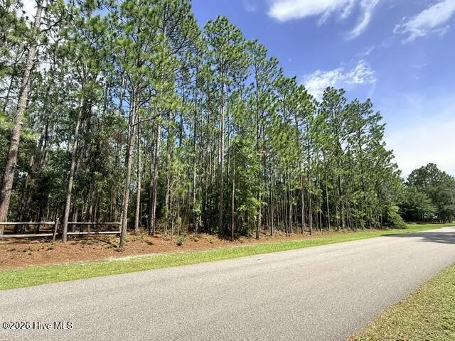 L-26 & 27 Eden Drive Boiling Spring Lakes, NC 28461
