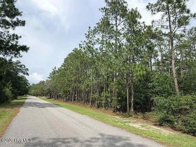L-26 & 27 Eden Drive Boiling Spring Lakes, NC 28461