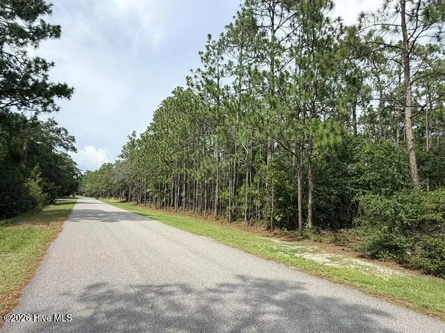L-26 & 27 Eden Drive Boiling Spring Lakes, NC 28461