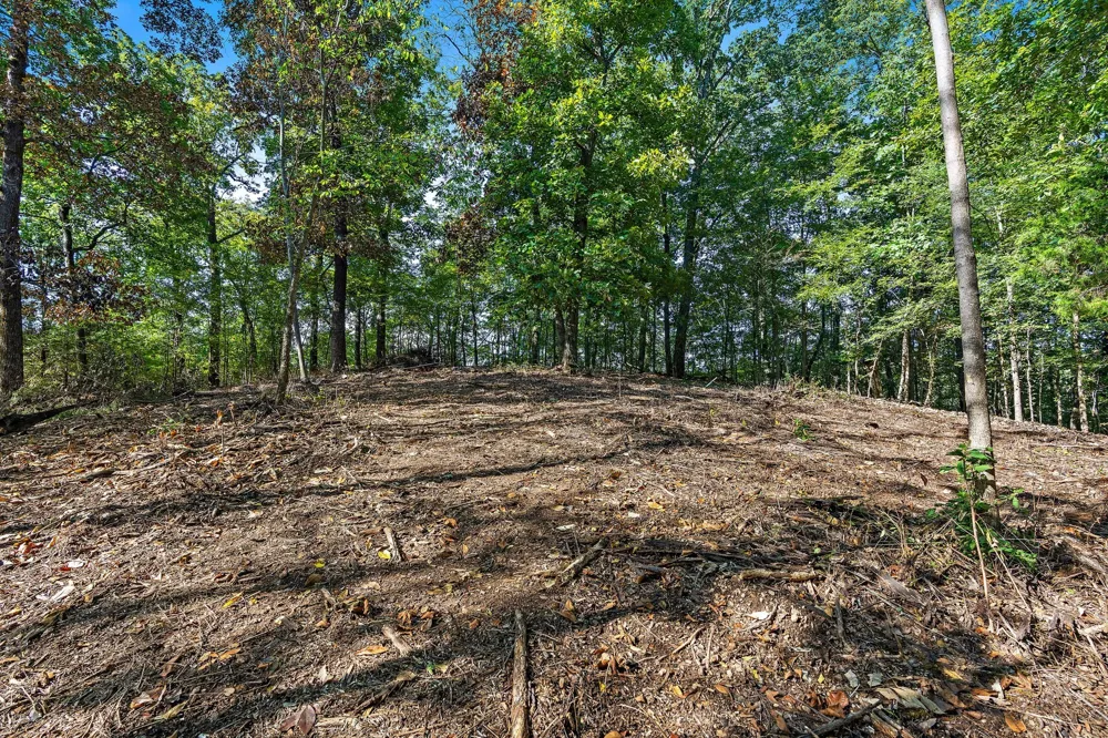 5535 Old Hickory Blvd Nashville, TN 37218