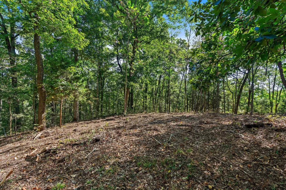 5535 Old Hickory Blvd Nashville, TN 37218