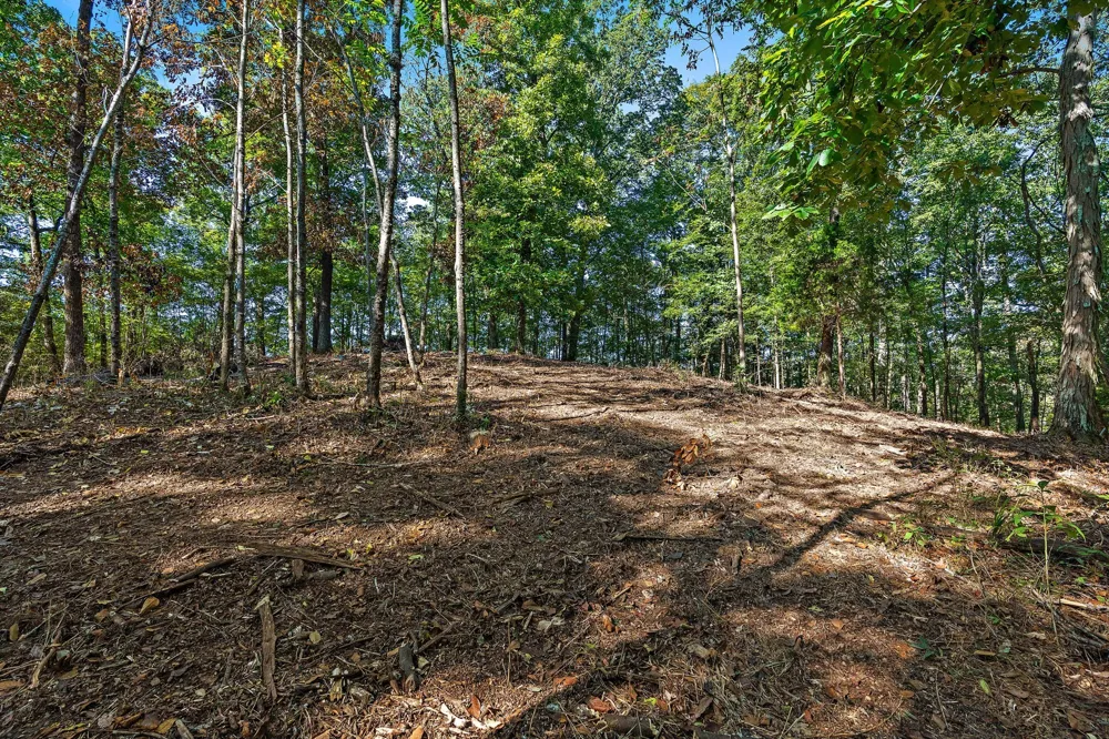 5535 Old Hickory Blvd Nashville, TN 37218
