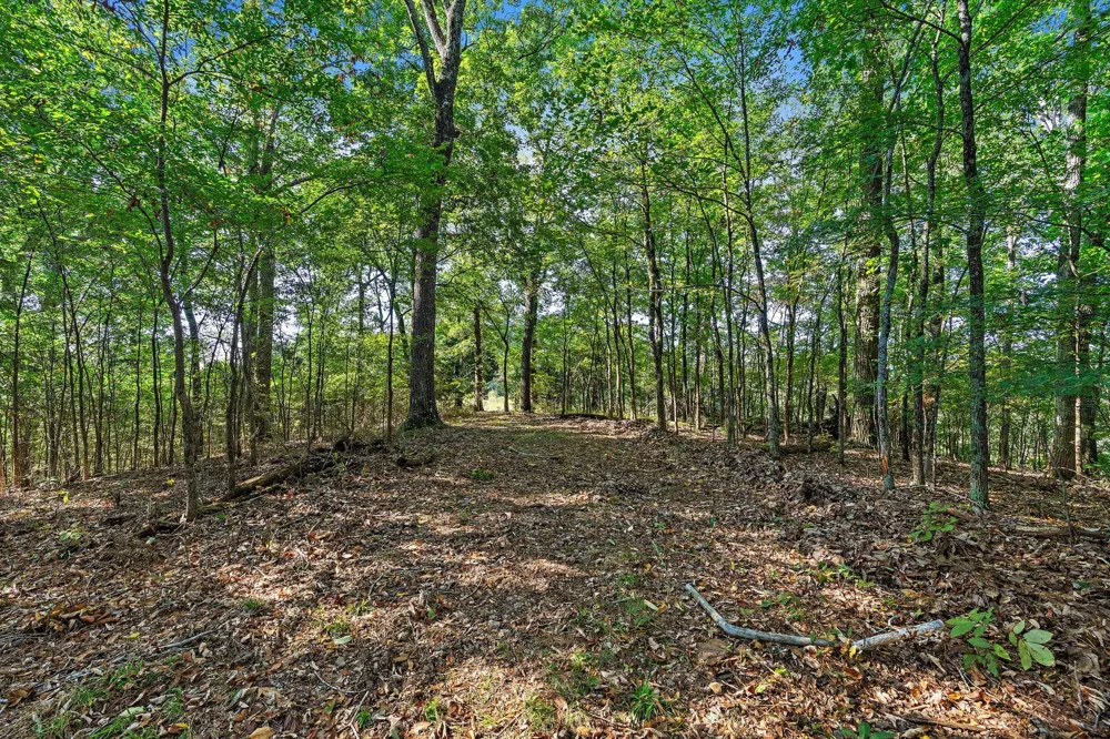 5535 Old Hickory Blvd Nashville, TN 37218