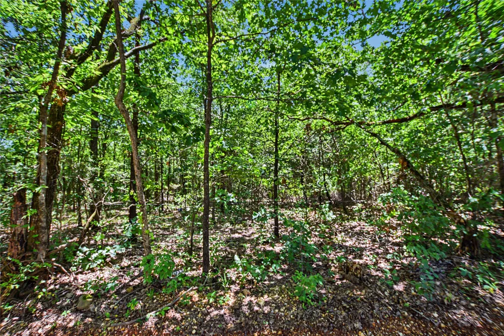 22501 E 830 ROAD Welling, OK 74471